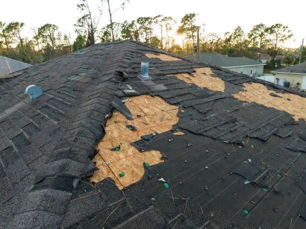 Trusted Philadelphia, PA Roofing Service Experts